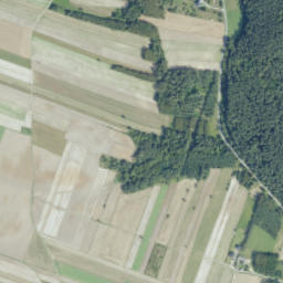 Satelita