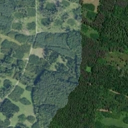 Satelita
