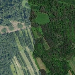 Satelita