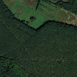 Satelita
