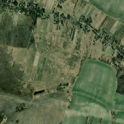 Berezovii Grud map(satellite map)