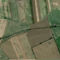 Satelita