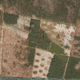 Satelita