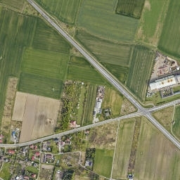 Satelita