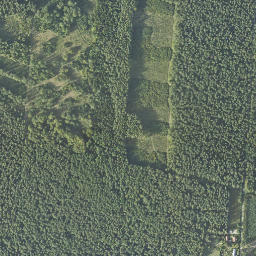 Satelita
