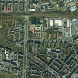 Riehl map(satellite map)