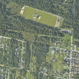 Satelita