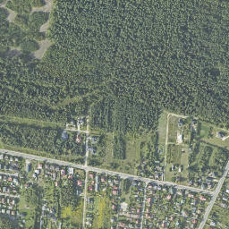Satelita