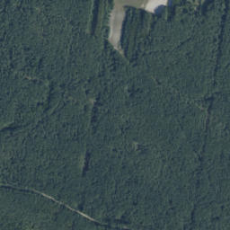 Satelita