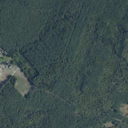 Satelita