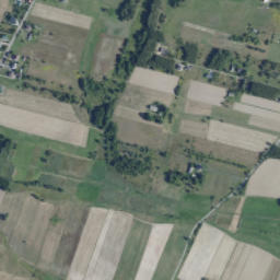 Satelita