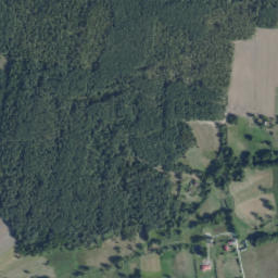 Satelita