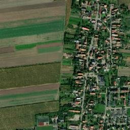 Wierzbno map(satellite map)