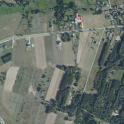 Satelita