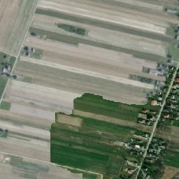Satelita