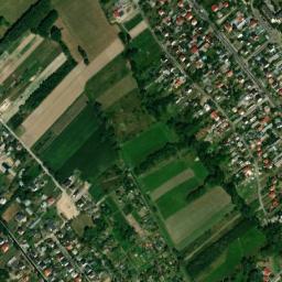 Satelita