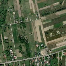 Satelita