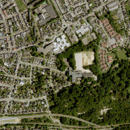 Lichtenberg map(satellite map)