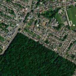 Cowplain map(satellite map)