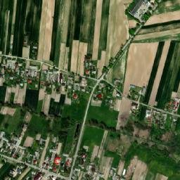 Zakrzew map(satellite map)
