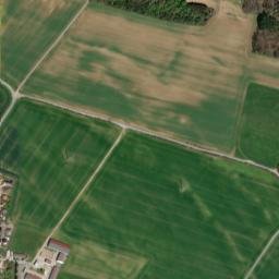 Bucha map(satellite map)