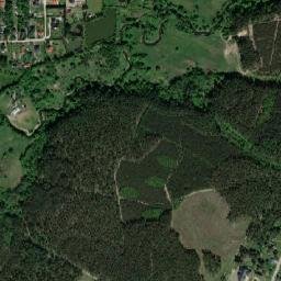 Satelita