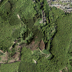 Niederfischbach map(satellite map)