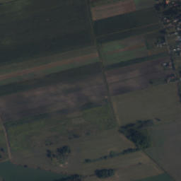 Satelita