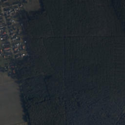 Satelita