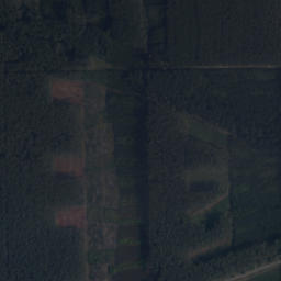 Satelita
