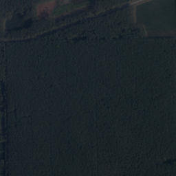 Satelita