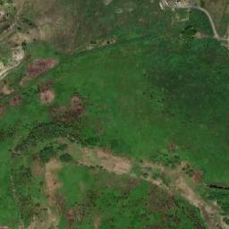 Buturlinovskiy Rayon map(satellite map)