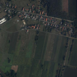 Satelita