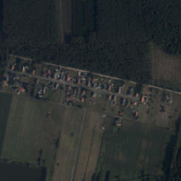 Satelita