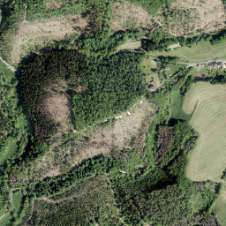 Birken-Honigsessen map(satellite map)