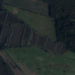 Satelita