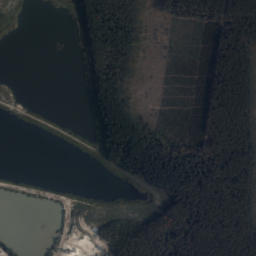 Satelita