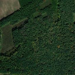Orzhiv map(satellite map)