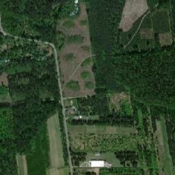 Satelita