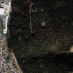Luisenthal map(satellite map)