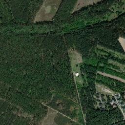 Satelita