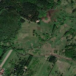 Satelita