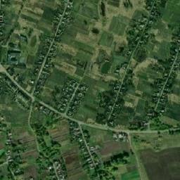 Nyzy map(satellite map)