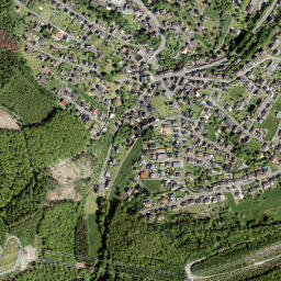 Alsdorf map(satellite map)