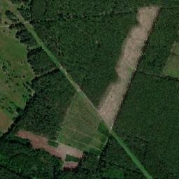 Satelita