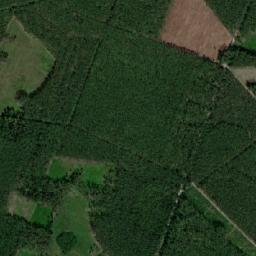 Satelita