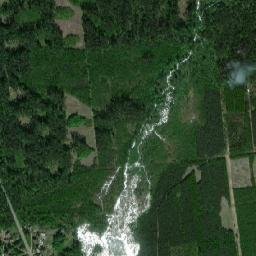 Satelita