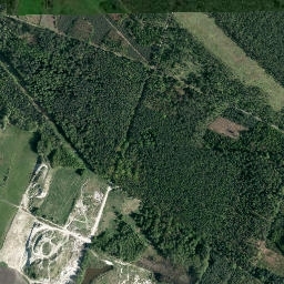 Satelita