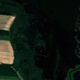Satelita