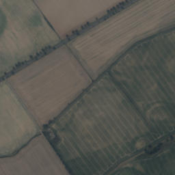 Satelita